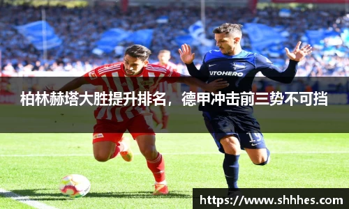 k1体育网页版