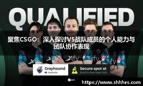k1体育网页版